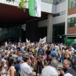 Movilización ante el desguace del CONICET: Entrevista a Rocío Guichón
